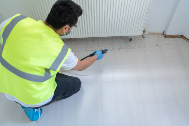 Best Fumigation Services  in Laurel, MD